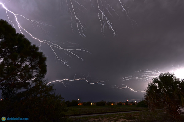 Florida lightning crawler; image by Chris Kridler