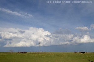 Dying cumulus clouds