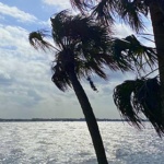 2 April 2021: Video of wonderful wind and waves on the lagoon