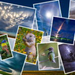My favorite photos of 2021 – storms, launches and critters, oh my