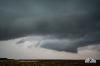 West of Miranda, South Dakota. This is about as frisky as the storm got.