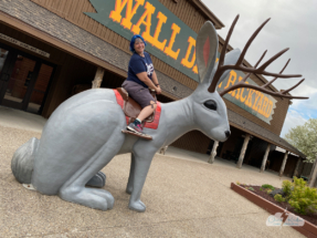 Alethea tames the jackelope.