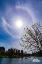 We stopped by a lake to enjoy the view. Hello again, sun halo!