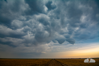 Mammatus north of Grainfield, Kansas, about 7:24 p.m. May 17, 2022.