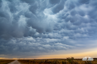 Another shot of the mammatus in the northwest Texas Panhandle.