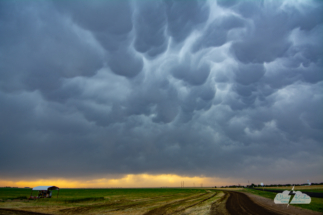 Loved the mammatus in this cell.
