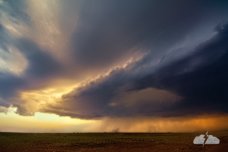 The storm rotated and attempted to get organized with what appeared to be a weak rear-flank downdraft.