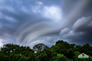 To the west, a curve in the gust front appeared.