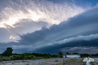 Distant convection is seen above the shelf cloud.