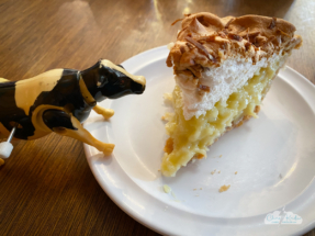 Cow checks out coconut cream pie at Mel's Diner in Wheeler.