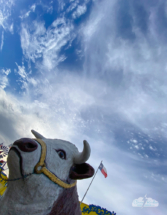 The cow at The Big Texan.