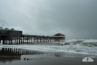 Fast-moving showers from Tropical Storm Nicole on November 9, 2022.