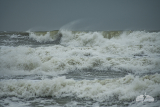 I just love watching the constant motion of the waves in the storm.