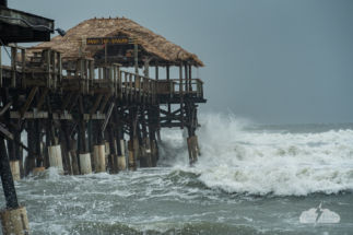 This was low tide at the Cocoa Beach Pier. Wow.