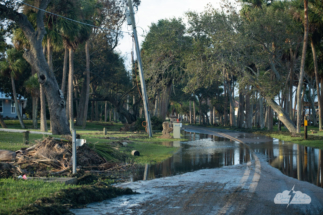 Lots of debris and wet roads in Rockledge and unincorporated Brevard County.