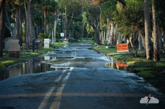 At the height of the storm, this road along the Indian River Lagoon was underwater.