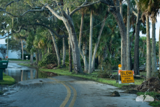 Wake-zone warnings dot the river road.