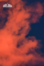 A booster (lower right) is silhouetted against the contrail as it plummets toward the Cape.