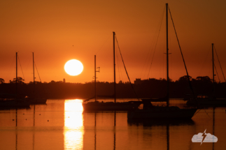 Sunrise over the Indian River Lagoon, shot in Cocoa, Florida.