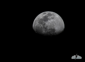 A pretty moon just after sunset and just before the SpaceX launch April 30.