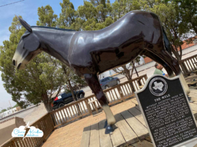 We stopped at the shrine to the Mule in Muleshoe to assess.