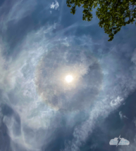 What do you know - ANOTHER sun halo.