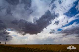 If only we'd stayed under that first shower...