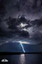This bolt blew out the frame as I was trying to adjust for the low light. Editing saved it.