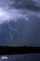 This is a nice branchy bit of lightning - but the main bolt was off-frame to the left. Argh!
