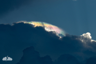 A cropped shot of the iridescent effect. Photo by Chris Kridler, ChrisKridler.com