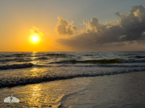 Sunset over the Gulf of Mexico, Oct. 21, 2023.