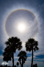Sun halo over palm trees on Oct. 22, 2023, at Treasure Island on Florida&#039;s west coast.