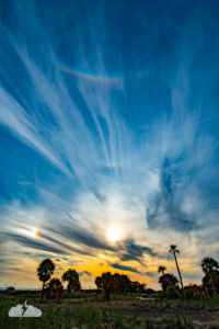 Here the circumzenithal arc is visible above, along with the 22 degree sun halo, which also sports sun dogs on the left and right of the circle.