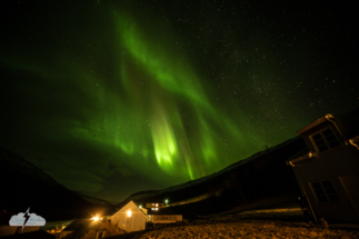 Dramatic aurora over Wildnerness Center in Iceland on November 15, 2025. Dramatic aurora over Wildnerness Center in Iceland on November 15, 2025.