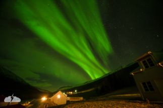 Dramatic aurora over Wildnerness Center in Iceland on November 15, 2025. Dramatic aurora over Wildnerness Center in Iceland on November 15, 2025.