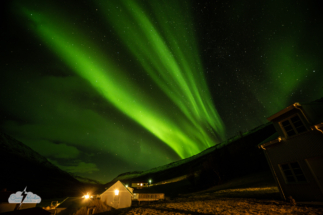 Dramatic aurora over Wildnerness Center in Iceland on November 15, 2025. Dramatic aurora over Wildnerness Center in Iceland on November 15, 2025.