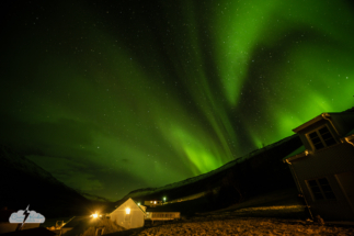 Dramatic aurora over Wildnerness Center in Iceland on November 15, 2025. Dramatic aurora over Wildnerness Center in Iceland on November 15, 2025.