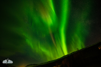 Aurora in the wee hours of November 16, 2025, at Wilderness Center in Iceland. Aurora in the wee hours of November 16, 2025, at Wilderness Center in Iceland.