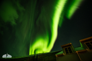 Aurora in the wee hours of November 16, 2025, at Wilderness Center in Iceland. Aurora in the wee hours of November 16, 2025, at Wilderness Center in Iceland.