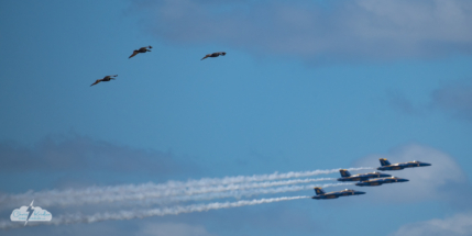 Pelicans fly in formation - with the Blue Angels in the background.