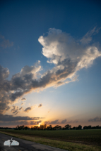 Still, they were beautiful.