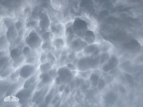 A look overhead as we navigated the hills.