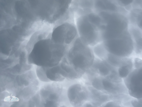 Amazing mammatus clouds!