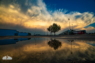 Fortuitous puddles offered an opportunity for reflective photos.