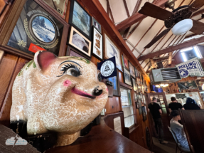 A happy pig at Bob's Pig Shop.
