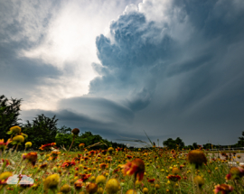 We navigated around the storm and got south of it at Palo Pinto.