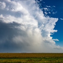 Hail tumbles from the back of a cell we were leaving.