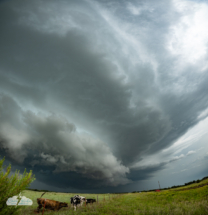 Alethea and I got far enough ahead to capture the beautiful structure (multi-image shot).