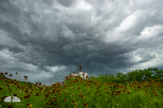 Cool clouds and wildflowers near I-10.