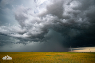 We caught up to this beauty west of Darrouzett, Texas.